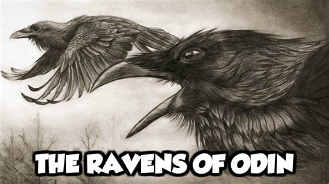 Magci the Raven: An Ancient Protector of Secrets and Knowledge